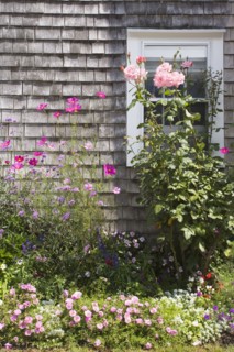 Garden. Photographer: Chris Hackett