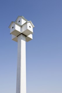 Bird houses. Photographer: Chris Hackett
