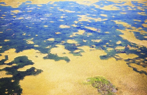 Aerial view of marsh. Photographer: fotog