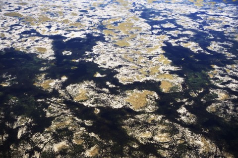 Aerial view of marsh. Photographer: fotog