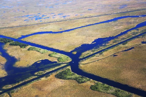 Aerial view of marsh. Photographer: fotog