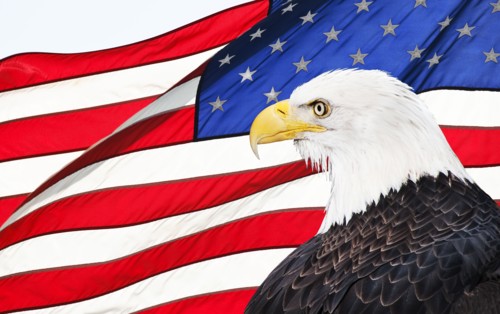 Eagle and American flag.
