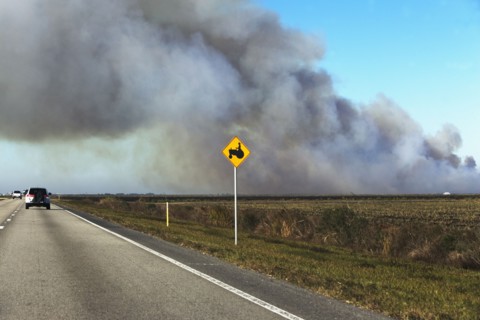 Smoke over road. Photographer: fotog