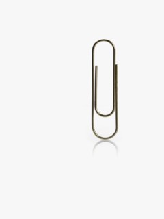 Paper clip. Photographer: David Arky