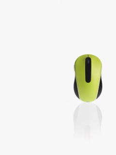 Computer mouse. Photographer: David Arky