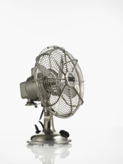 Fan. Photographer: David Arky