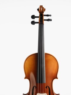 Violin. Photographer: David Arky