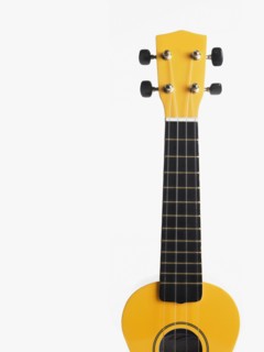 Guitar. Photographer: David Arky