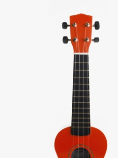 Guitar. Photographer: David Arky