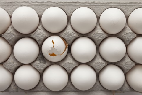 Eggs in carton. Photographer: Mike Kemp