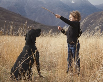 Girl playing fetch with dog. Photographer: Mike Kemp