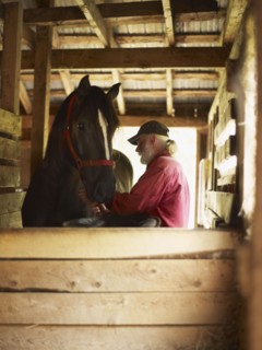 Horse and man in barn