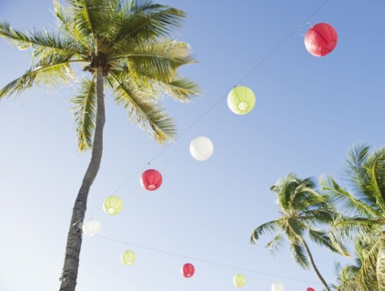Lanterns and palm trees. Photographe : Jamie Grill