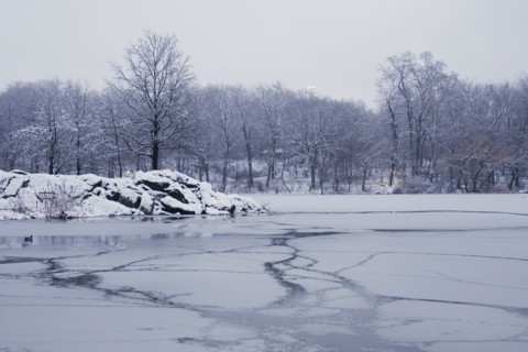 Central Park in winter. Photographe : David Engelhardt