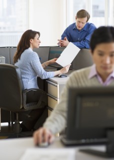 Office workers in cubicles.
