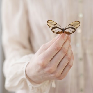 Hand holding butterfly.