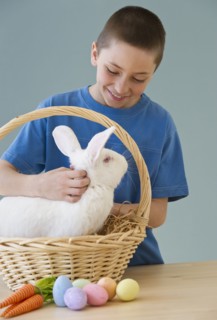 Young boy petting a rabbit in Easter basket.