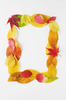 Rectangle of autumn leaves. Photographe : Chris Hackett