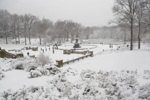 Central Park in winter. Photographe : fotog