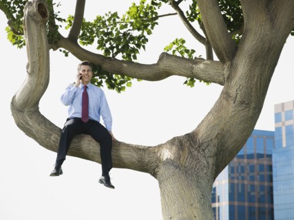 Businessman sitting in tree.