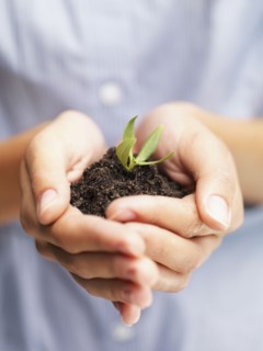 Woman holding sapling. Photographe : momentimages