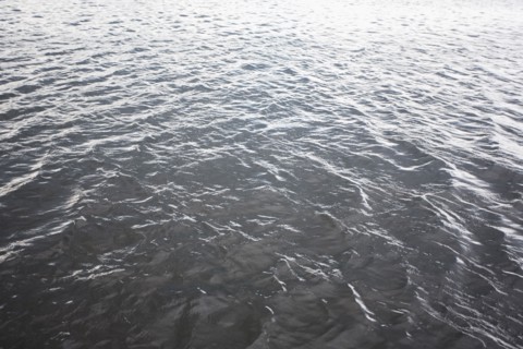 Ocean. Photographe : Chris Hackett