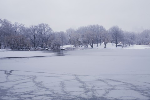 Central Park in winter. Photographe : David Engelhardt