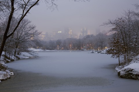 Central Park in winter. Photographe : David Engelhardt