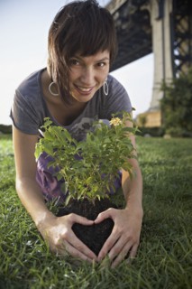 Woman planting aspen sapling. Photographe : Shawn O'Connor