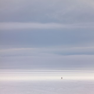 Snow covered field. Photographe : Mike Kemp