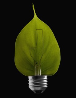 Green leaf inside a light bulb. Photographe : Mike Kemp