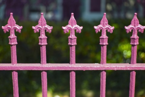 Close up of pink iron fence.