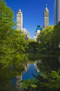 Pond in Central Park New York City.
