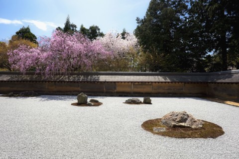 Japanese garden. Photo : Lucas Lenci Photo