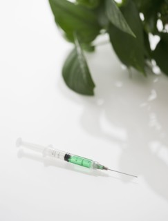 Syringe filled with green liquid. Photo : Jamie Grill