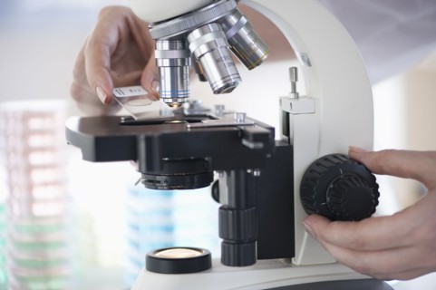 Hands on a microscope.