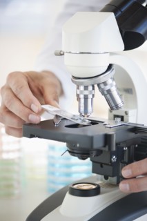 Hands on a microscope.
