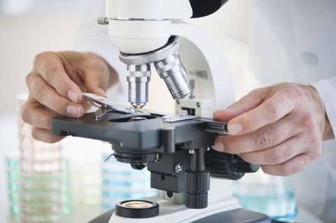Hands on a microscope.