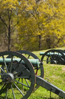 Cannons at Vicksburg National Military Park.