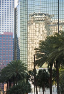 High-rise buildings and palm trees in New Orleans.