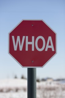 Stop sign with the word WHOA on it. Photo : Dan Bannister
