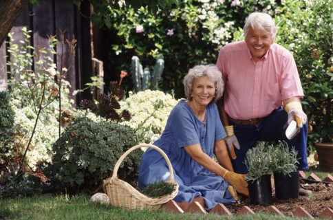 Senior couple gardening together. Photo : Rob Lewine