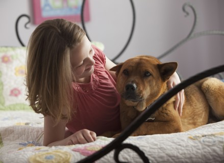 Young girl lying on bed with dog. Photo : Mike Kemp