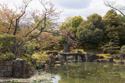Japanese garden. Photo : Lucas Lenci Photo