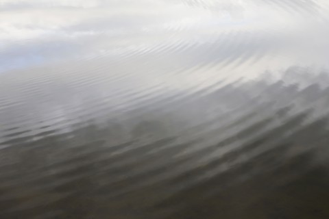 Ripples in water. Photo : Chris Hackett