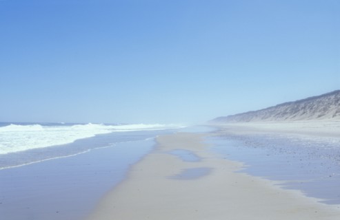 Beach at Cape Cod. Photo : Chris Hackett