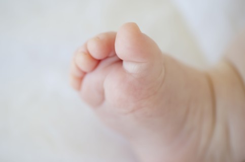 Infant's foot. Photo : Chris Grill