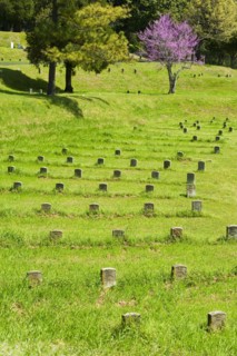 National Cemetery at Vicksburg National Military Park.