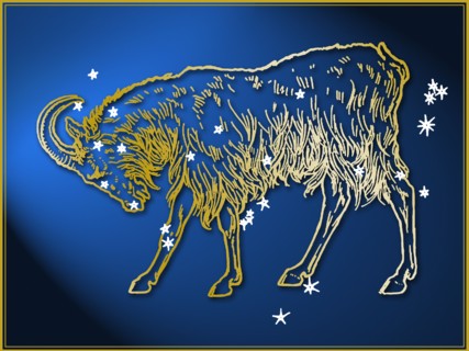 Capricorn astrological sign.