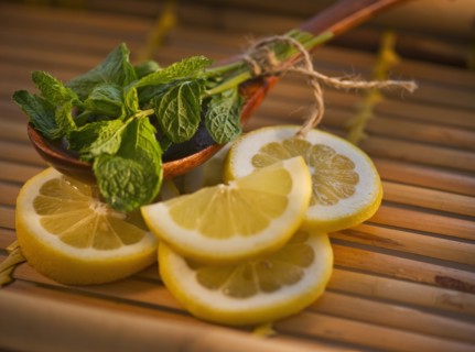 Lemon slices mint and wooden spoon. Photo. Daniel Grill